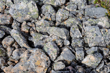 Gray stones background in tundra