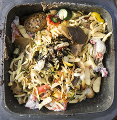 Household bio organic food waste in rubbish bin ready for recycling