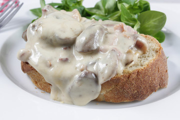 tartine forestière 03122016