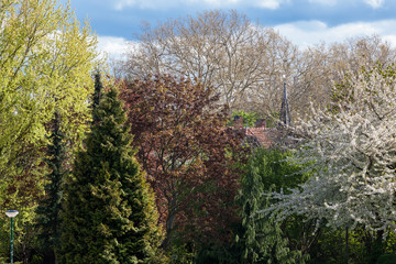 Parkanlage Quedlinburg blühende Landschaft