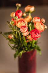 Ranunculuses Bouquet in the red vase on a blured beige background
