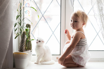 Toddler blonde girl playing with white cat on  window real inter