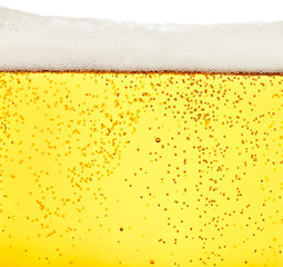 beer closeup alcohol drink beverage