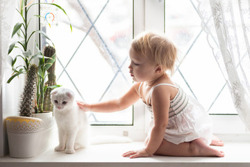 Toddler blonde girl playing with white cat on  window real inter
