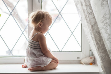 Toddler girl  play at window with  hamster, real interior, lifes
