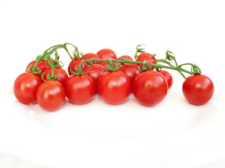 Solanum lycopersicum isolated on the white