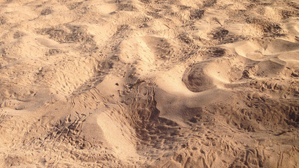 Sand Tracks