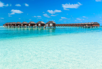 beautiful tropical sea