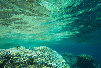  underwater