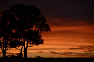 Fototapeta na wymiar Country sunset
