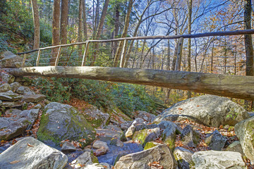 Fototapeta na wymiar Wooden footlog crosses a creek bed in the Smokies.