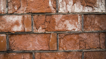 nature, texture, background