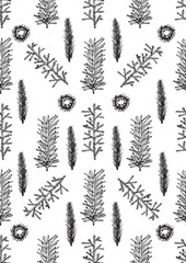 Seamless pattern with hand drawn pine fir branches.