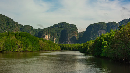 landscape  mangrove forest  with mountain in Krabi , Thailand