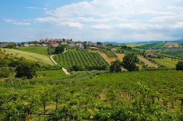 Foto op Plexiglas .beautiful hills in the province of Teramo in Italy © giovannibosche