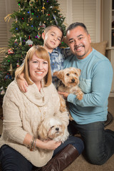 Happy Young Mixed Race Family and Puppies In Front of Christmas Tree.