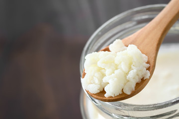 Milk kefir grains on wooden spoon on top of a jar of kefir, photographed with natural light (Selective Focus, Focus in the middle of the kefir grains) - obrazy, fototapety, plakaty