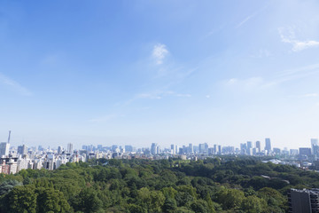 Fototapeta premium 東京都市全景 超ワイド 大空コピースペース 東京タワーと東京スカイツリー 新宿御苑の緑