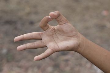 children's hands raised hands in the air