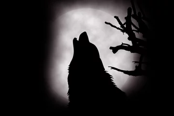 Papier Peint photo autocollant Loup Wolf howling at the moon