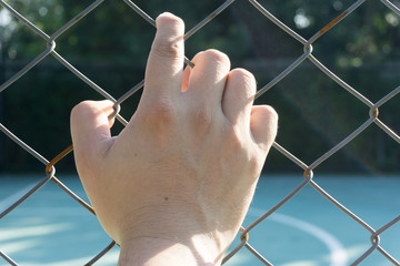 Hand with metal fence