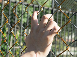 Fototapeta na wymiar Hand with metal fence