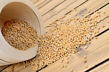 mustard seed on table