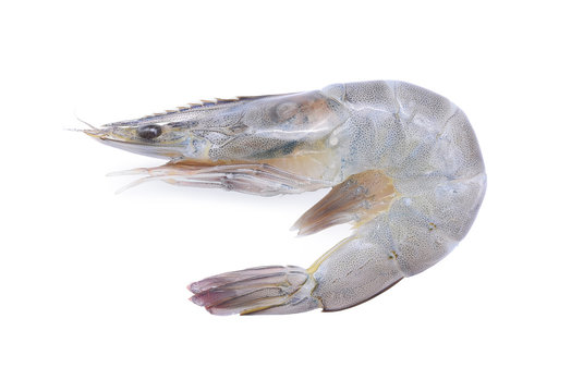Raw Prawns, Raw tiger shrimps isolated on white background