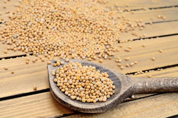 mustard seed on table