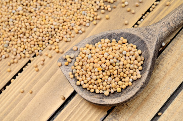 mustard seed on table