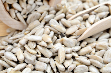 sunflower seed on table
