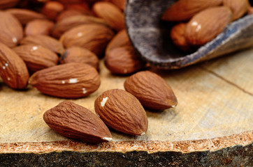 almond on table