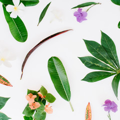 topical exotic colored leaf pattern on white background. flat lay, top view