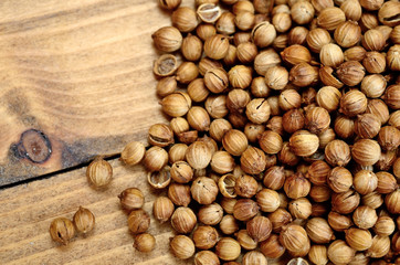 coriander on table