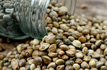 hemp seed on table