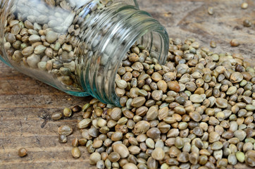 hemp seed on table