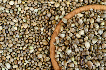 group of hemp seed