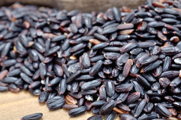 Obraz premium black rice on table
