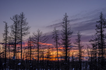 Obraz premium Winter sunset