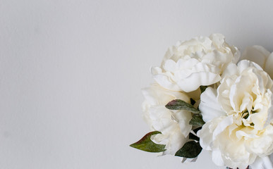 Peony on the white wall