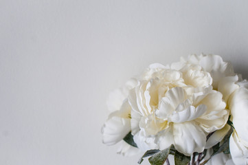 Flowers on the white wall