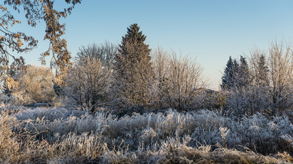 Frostige  Winterlandschaft