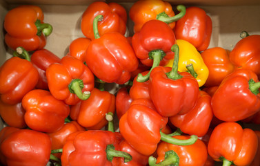 Red sweet peppers in the box on super market shelf, Colorful sweet peppers 