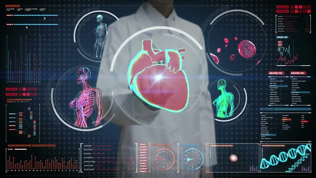 Female doctor touching digital screen,  Female body scanning blood vessel, lymphatic, heart, circulatory system in digital display dashboard. Blue X-ray view. 
