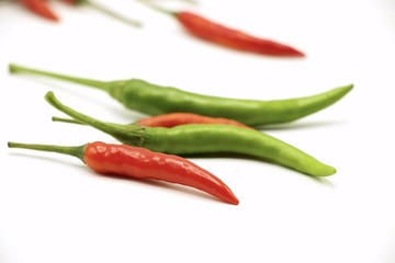 Green and red chilli on white background