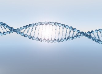DNA