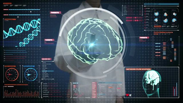 Female doctor touching digital screen, Scanning Brain in digital display dashboard. X-ray view
