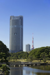 東京都市風景　浜離宮　庭園　秋　高層ビル　高層マンション群と東京タワー