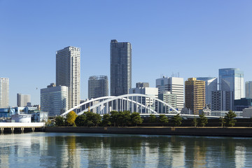 Obraz na płótnie Canvas 東京都市風景　完成した築地大橋と勝どきのビルと高層マンション群