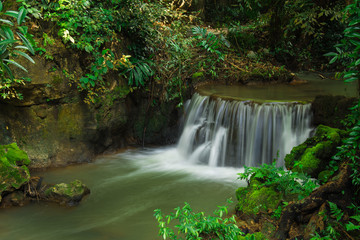 Waterfall  in the forest 